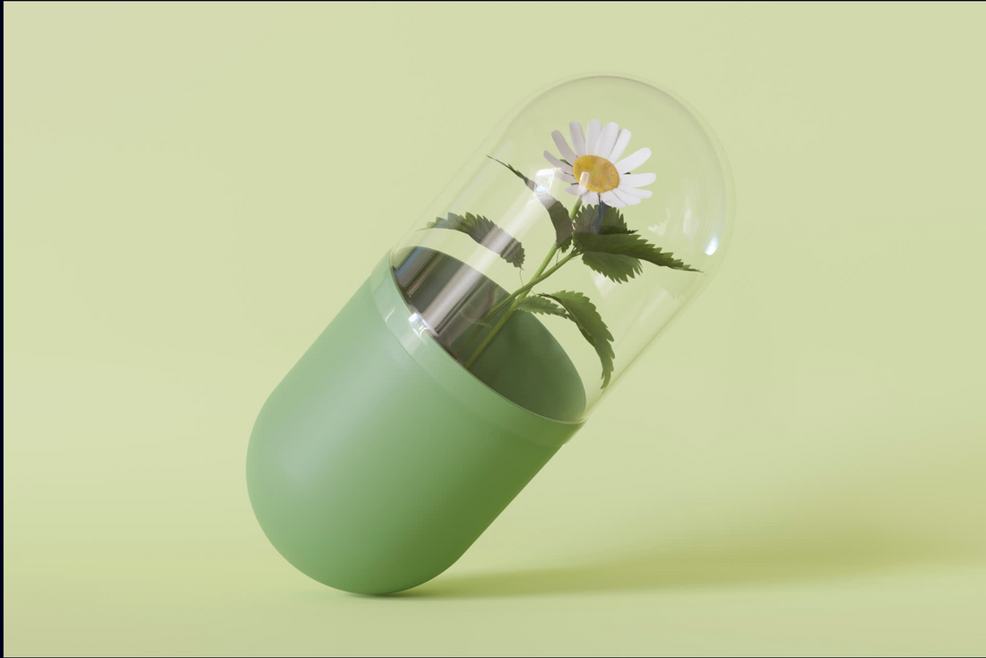 Cosmétique artisanale et vivante : quand la nature guide le soin