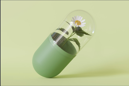 Cosmétique artisanale et vivante : quand la nature guide le soin